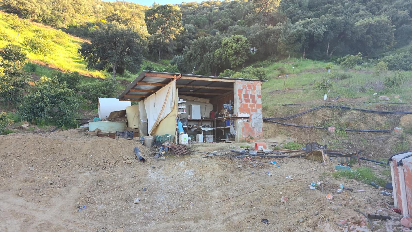 Plot for Sale in Monda