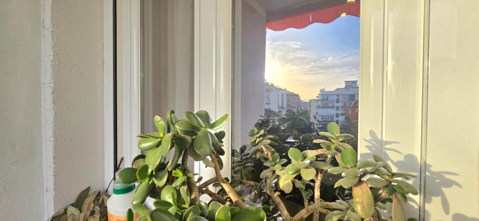 Flat for Sale in Marbella