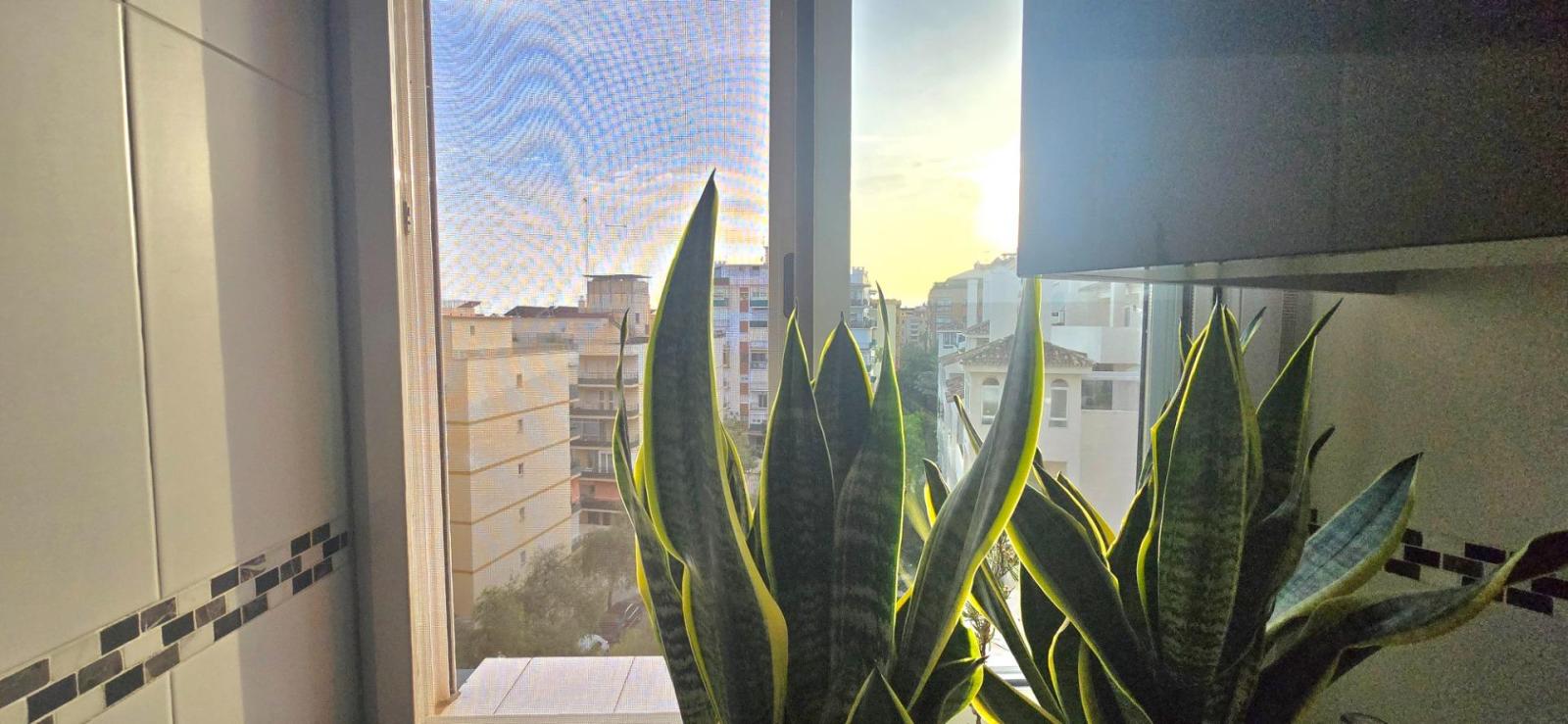 Flat for Sale in Marbella