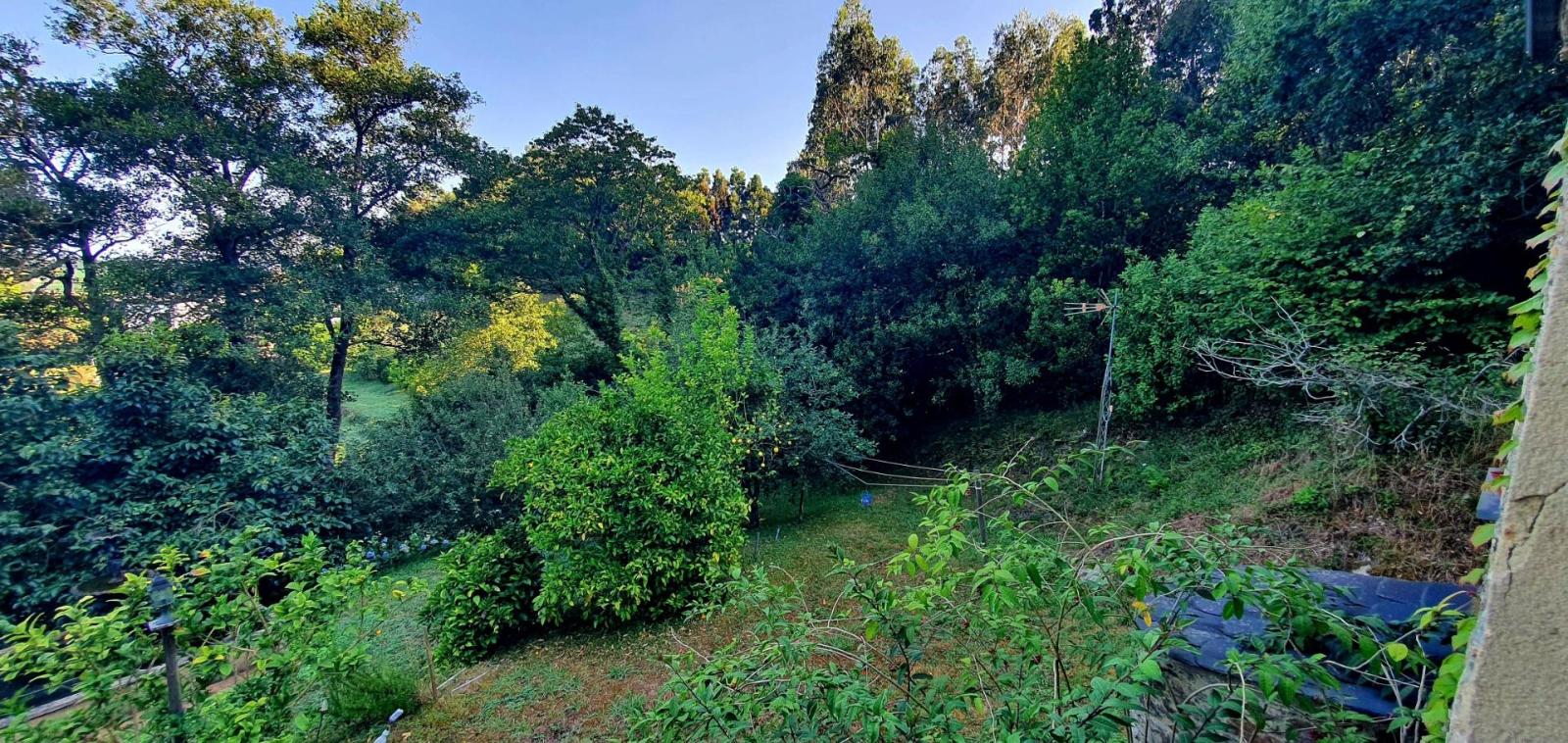 House for Sale in Castropol