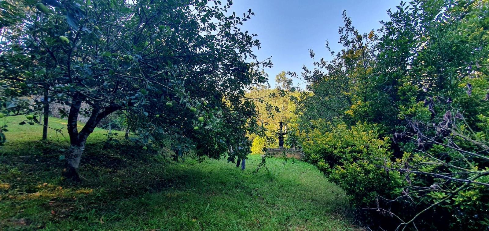 House for Sale in Castropol