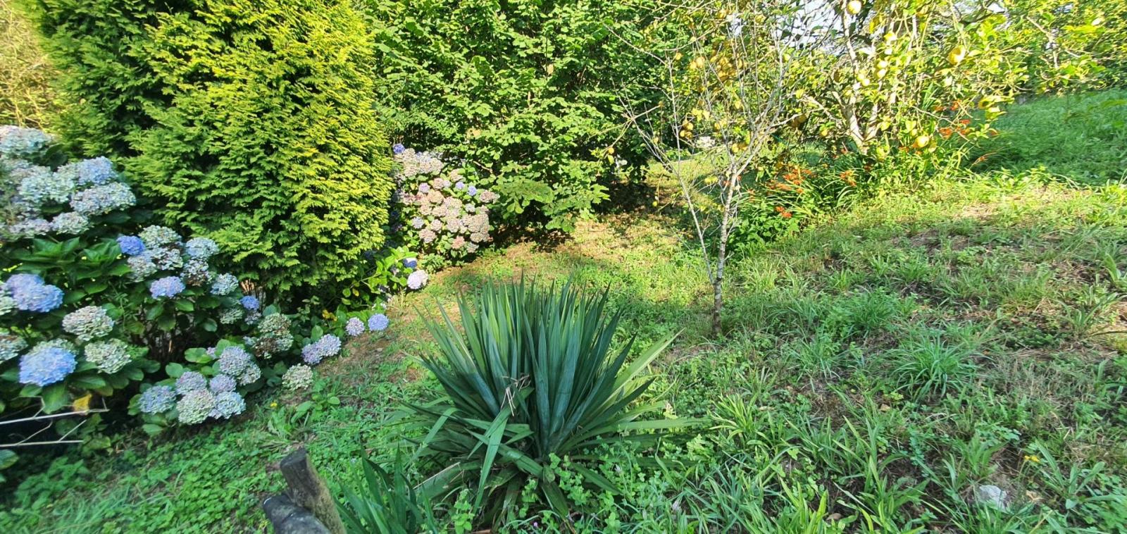 House for Sale in Castropol