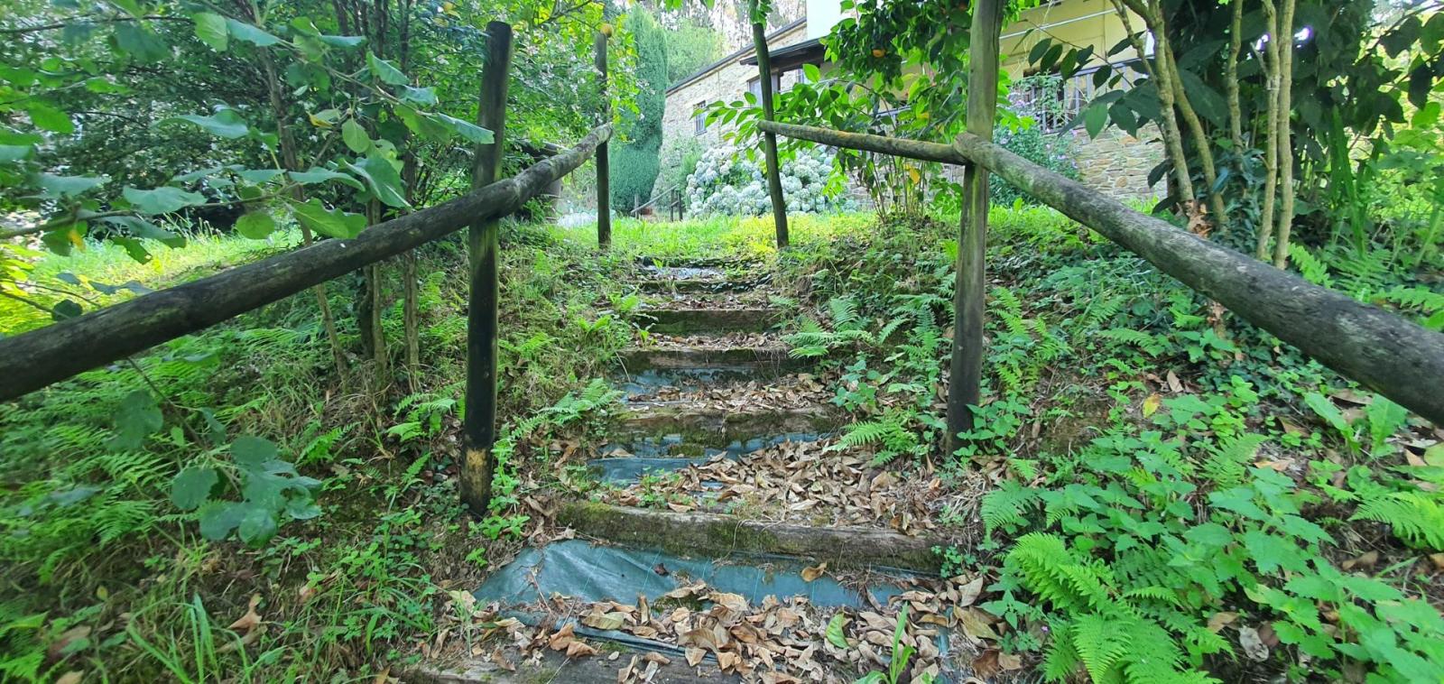 House for Sale in Castropol