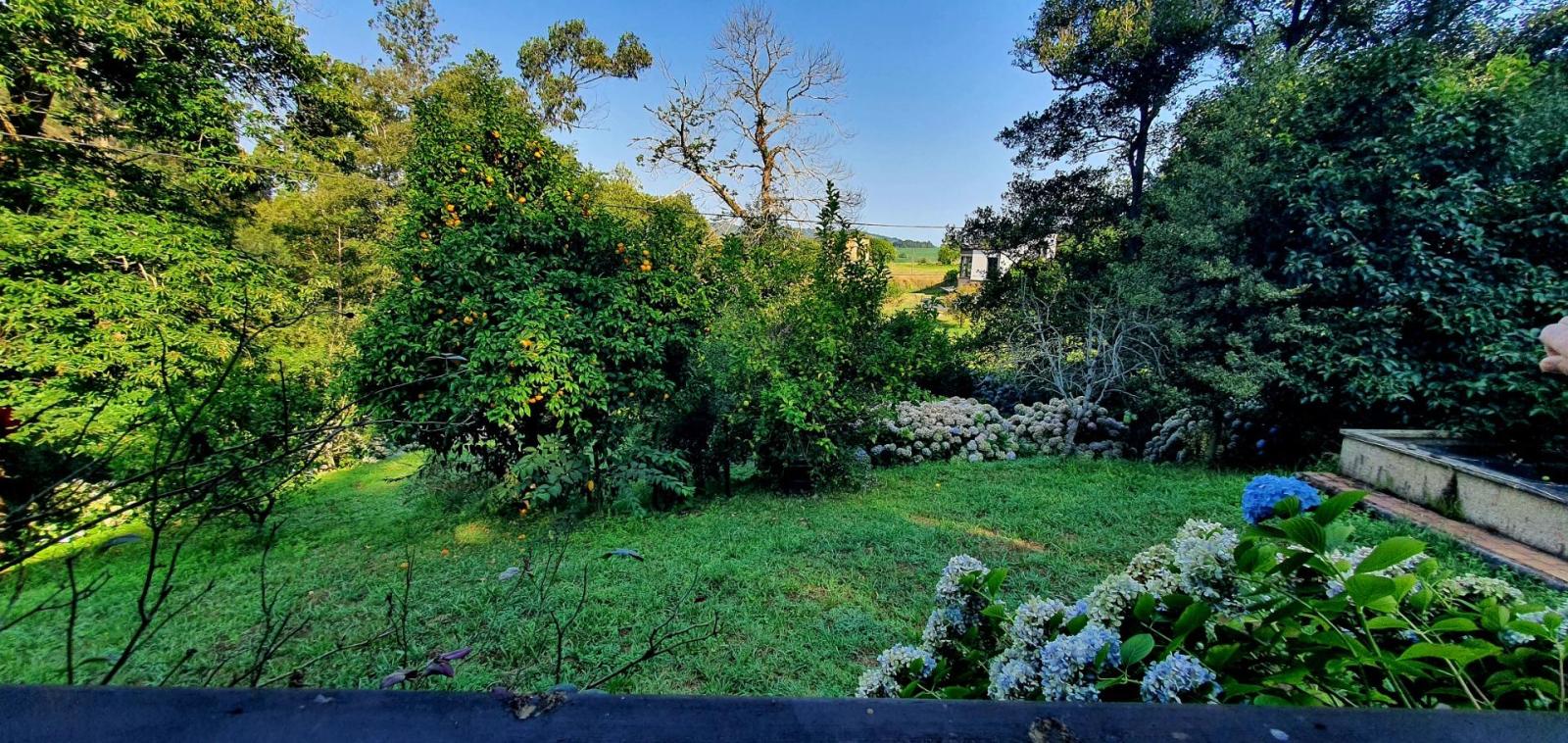 House for Sale in Castropol