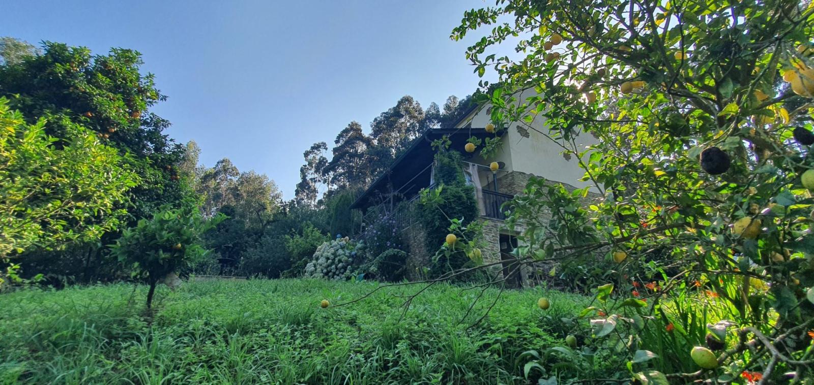 House for Sale in Castropol