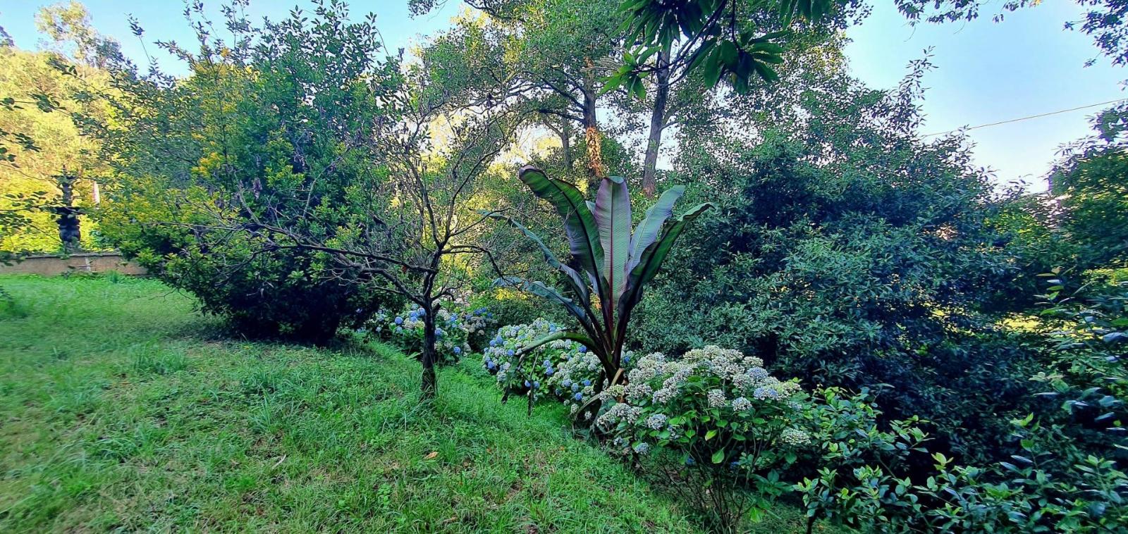 House for Sale in Castropol