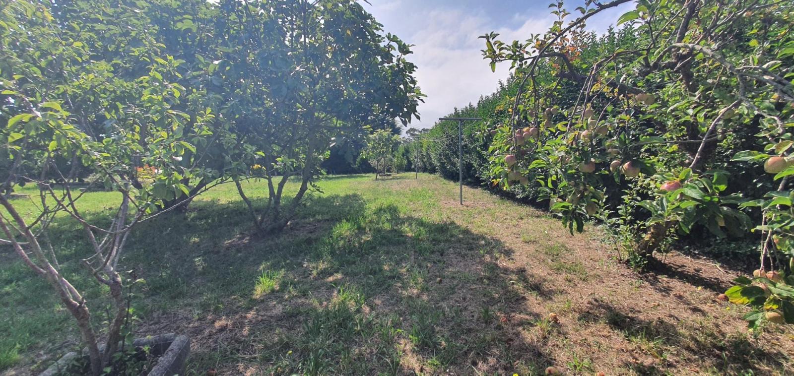 Flat for Sale in Tapia de Casariego