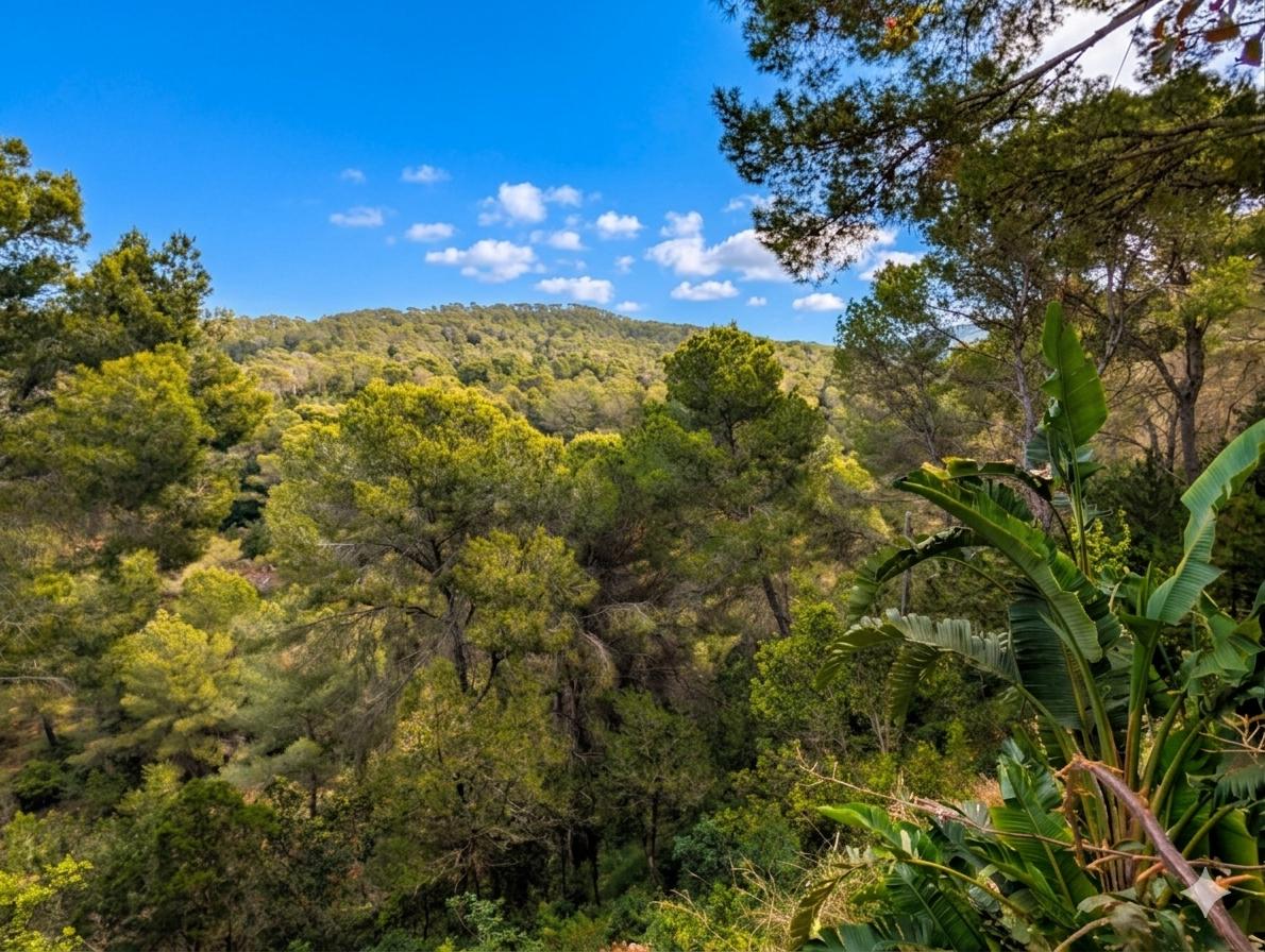 Apartamento en Venta en Sant Josep de sa Talaia