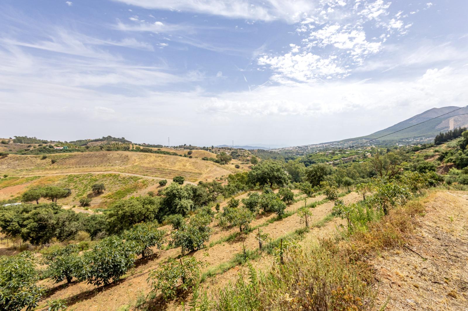Villa for Sale in Alhaurín el Grande