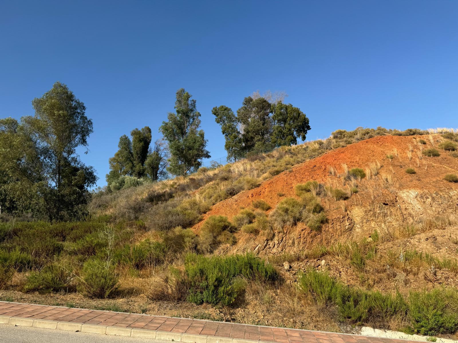 Plot for Sale in Mijas