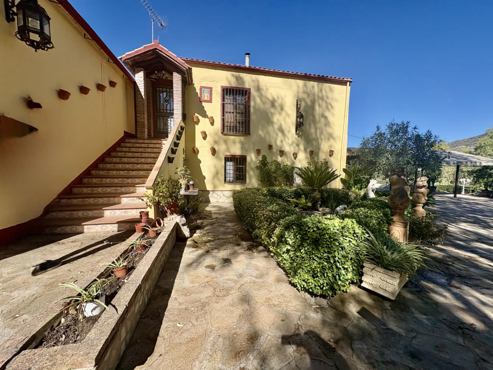 Premise for Sale in Olvera