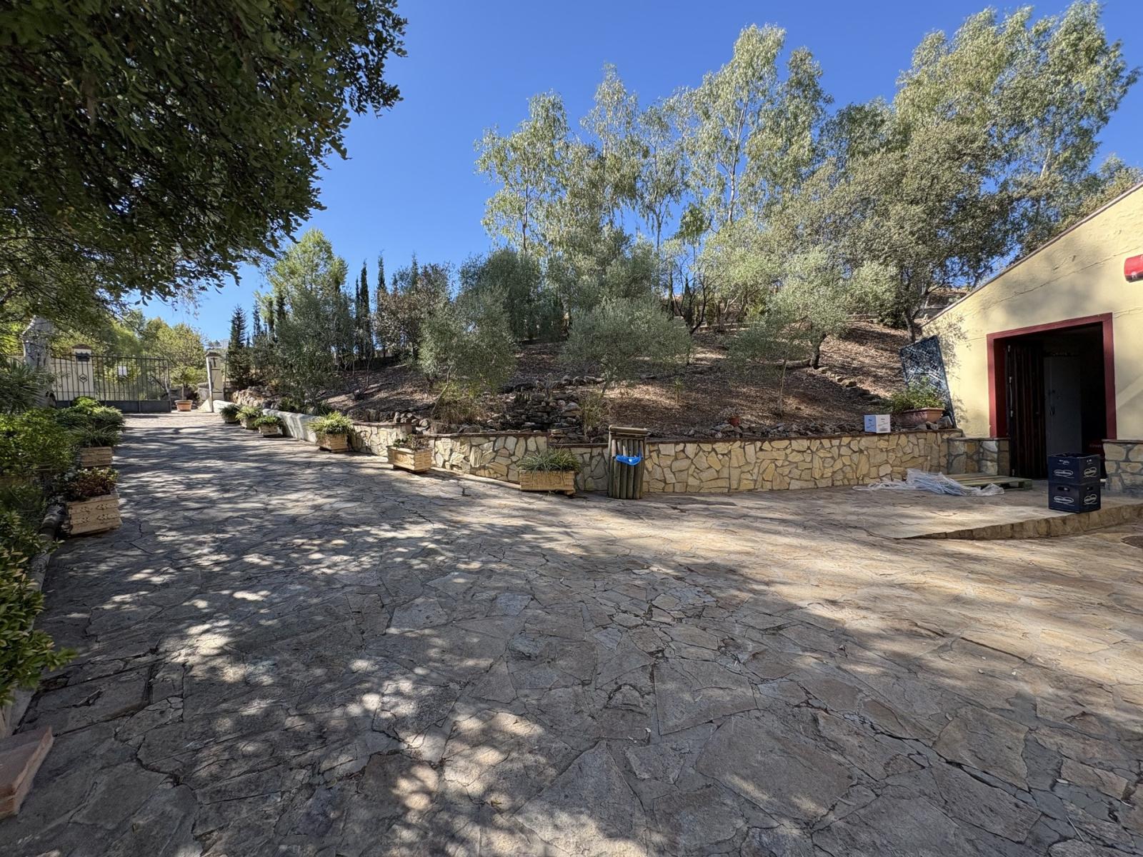 Premise for Sale in Olvera