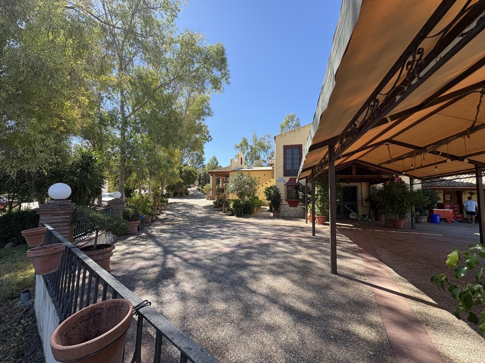 Premise for Sale in Olvera