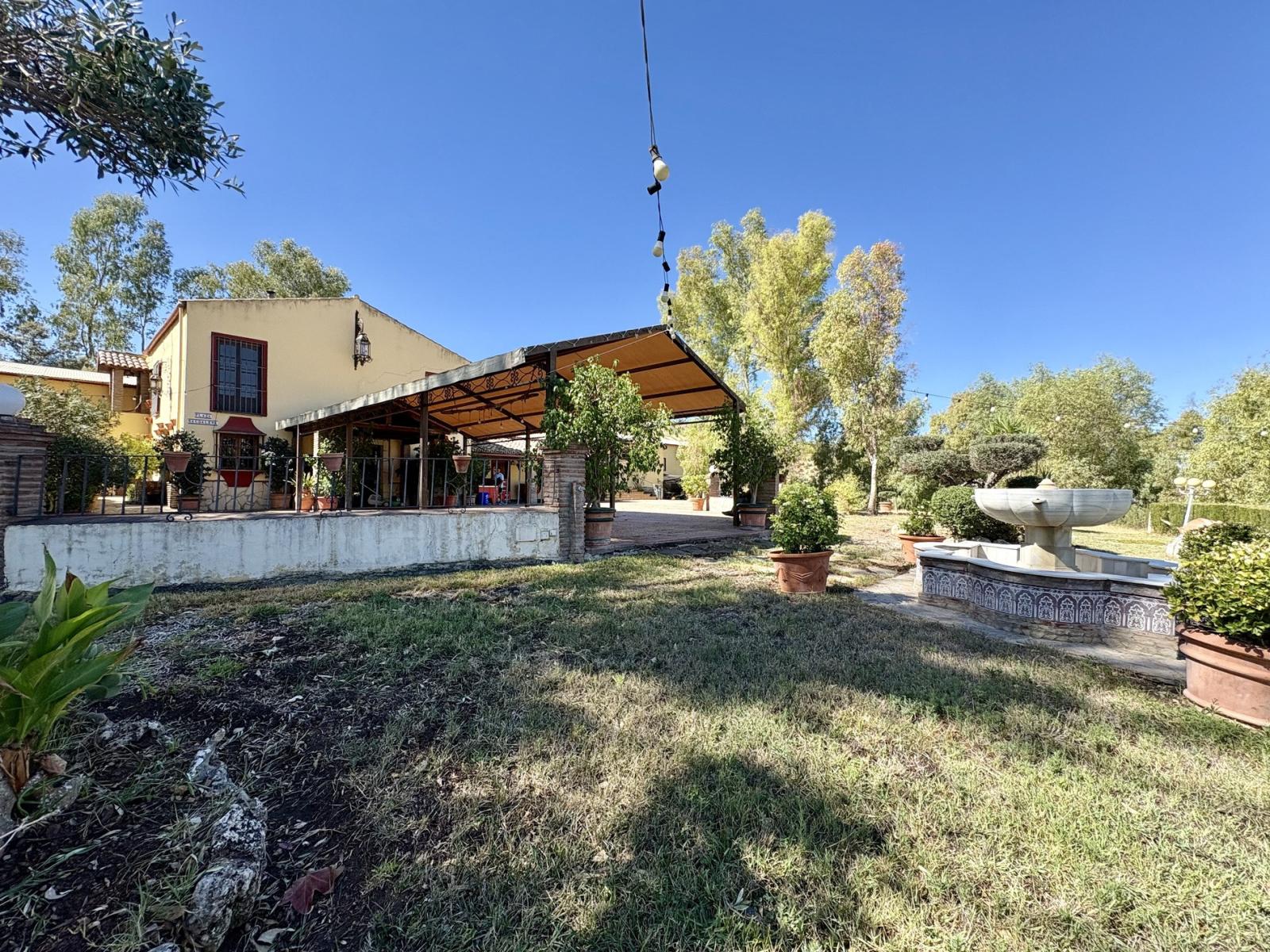 Premise for Sale in Olvera