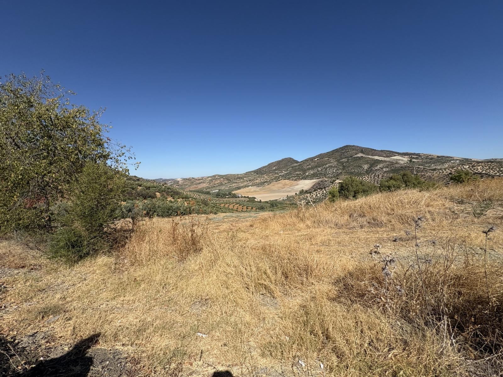 Premise for Sale in Olvera