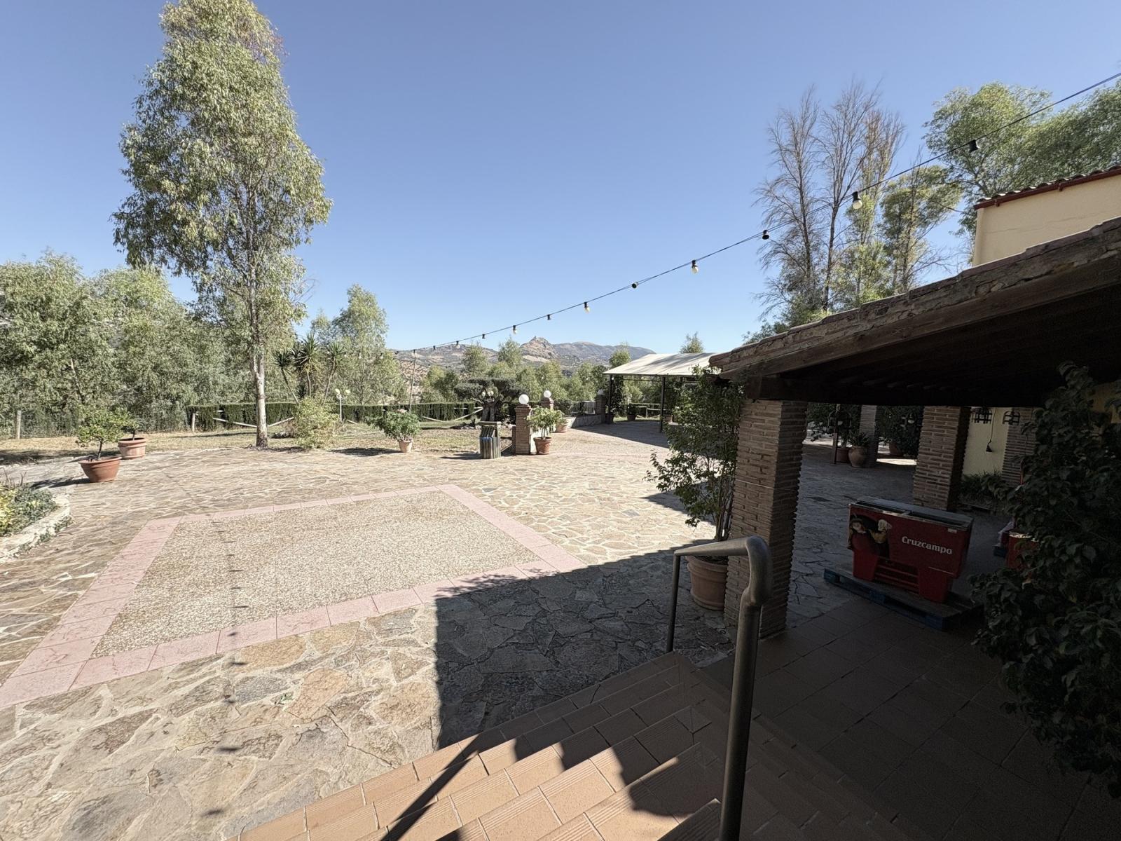 Premise for Sale in Olvera