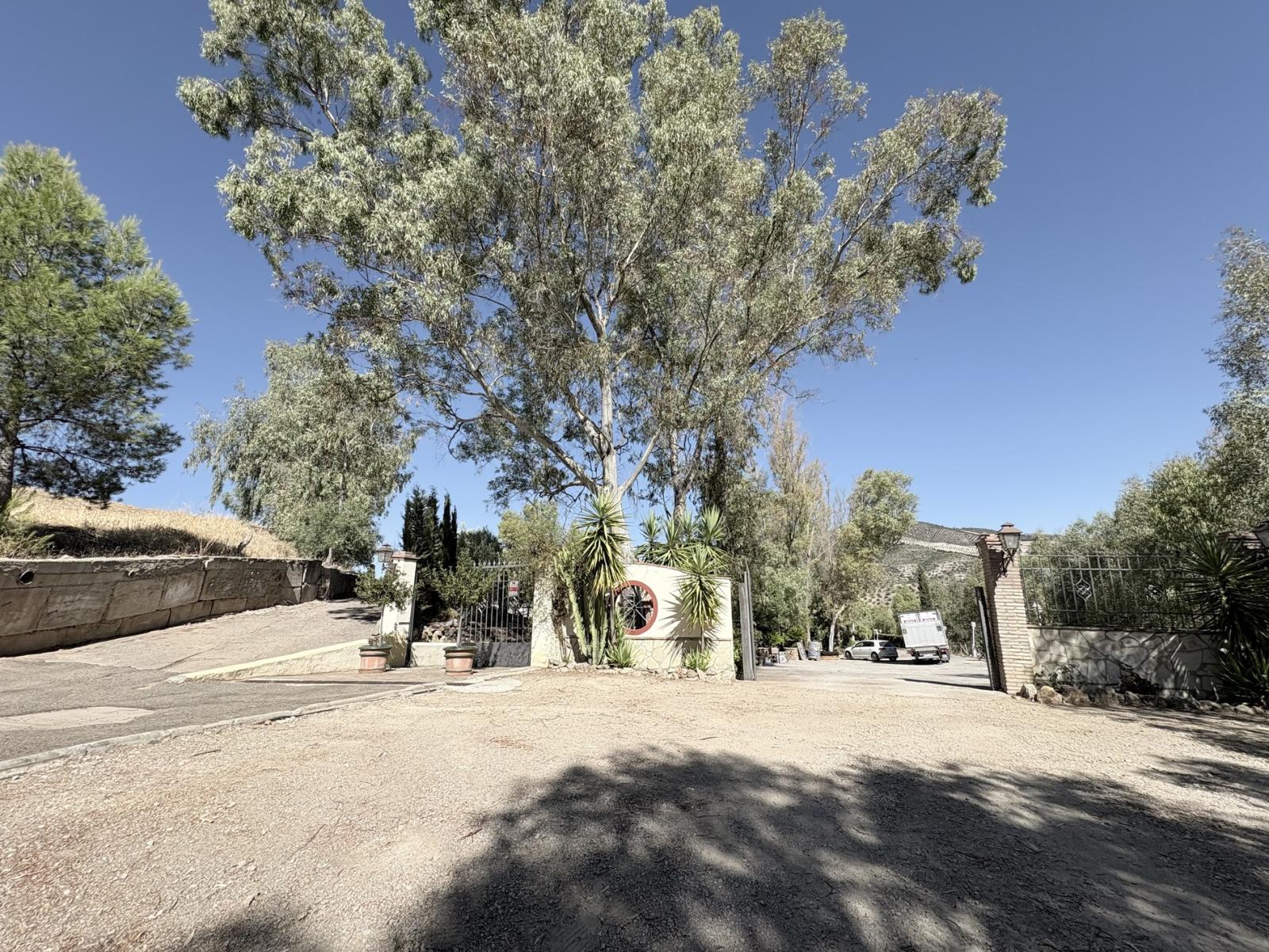 Premise for Sale in Olvera