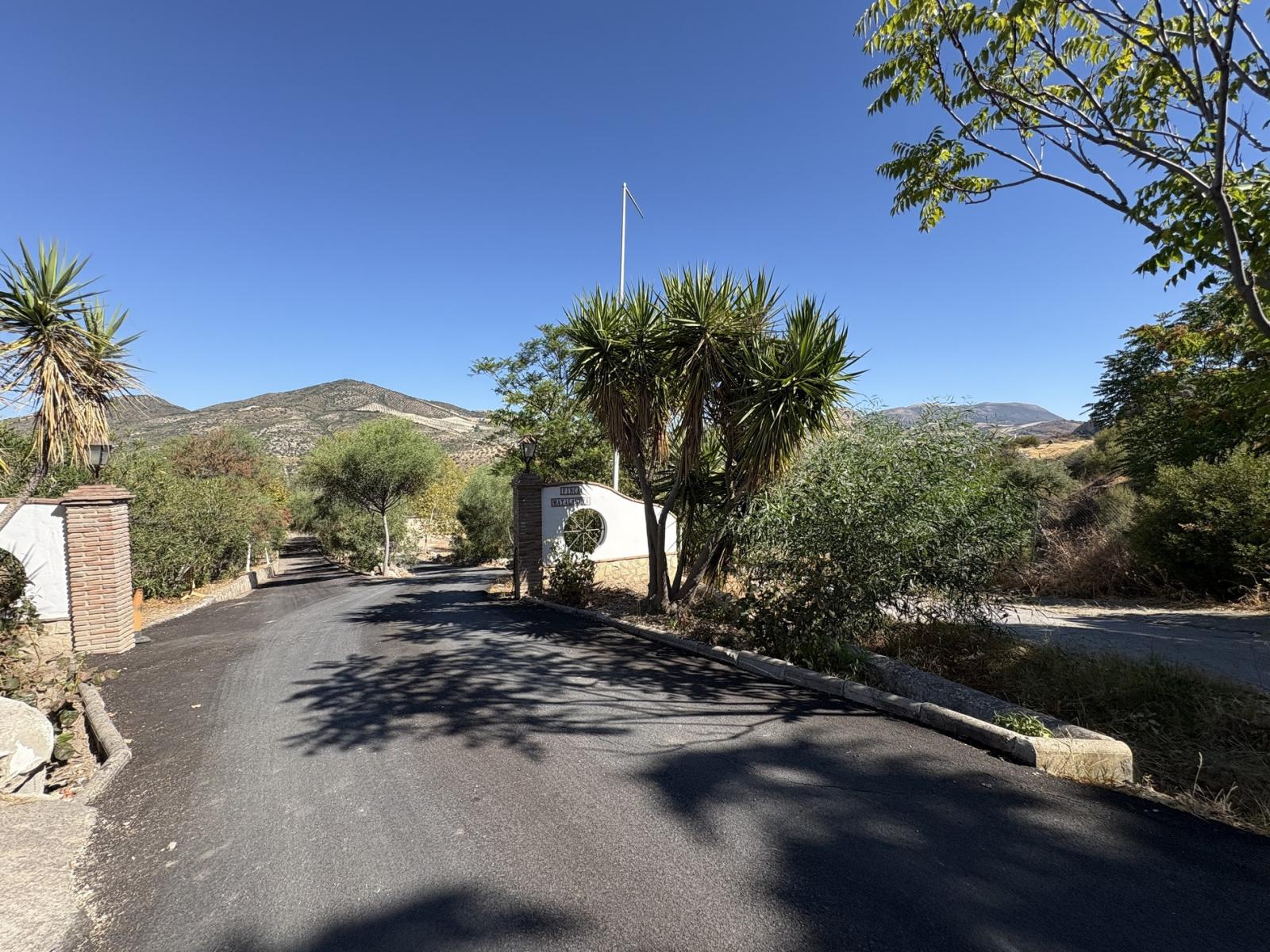 Premise for Sale in Olvera