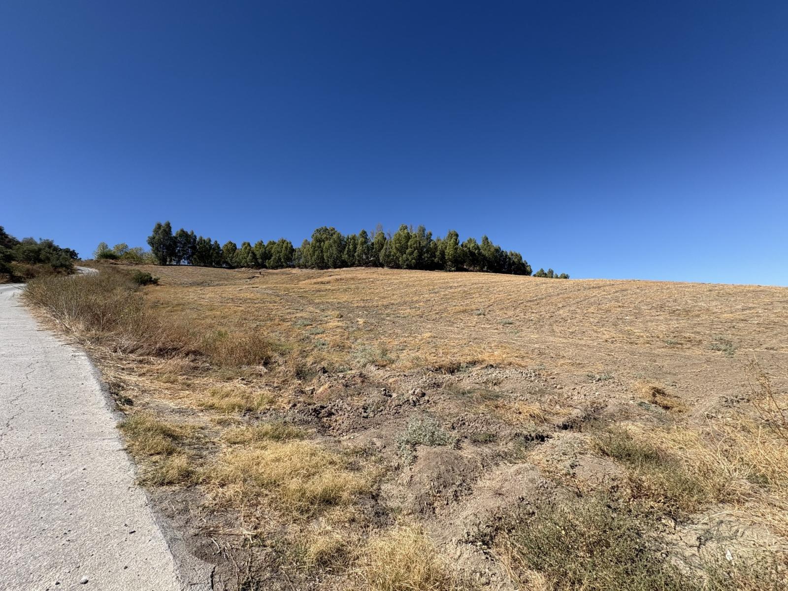 Premise for Sale in Olvera