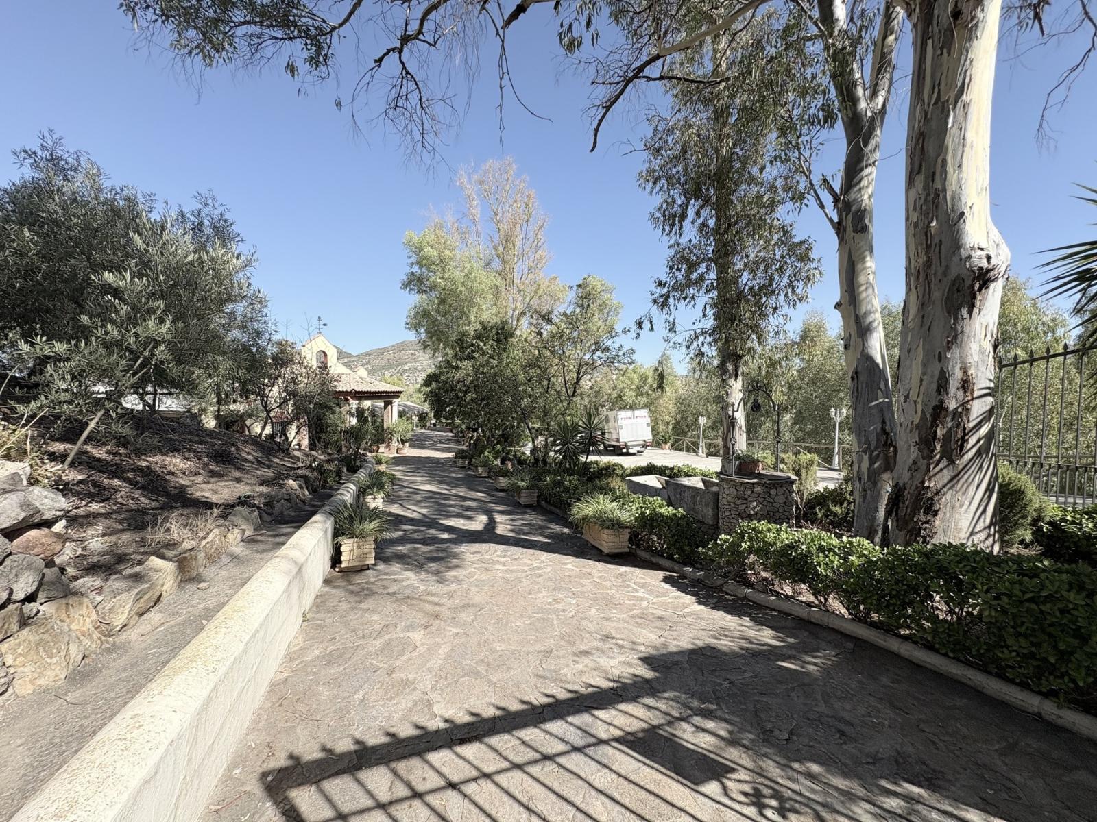 Premise for Sale in Olvera