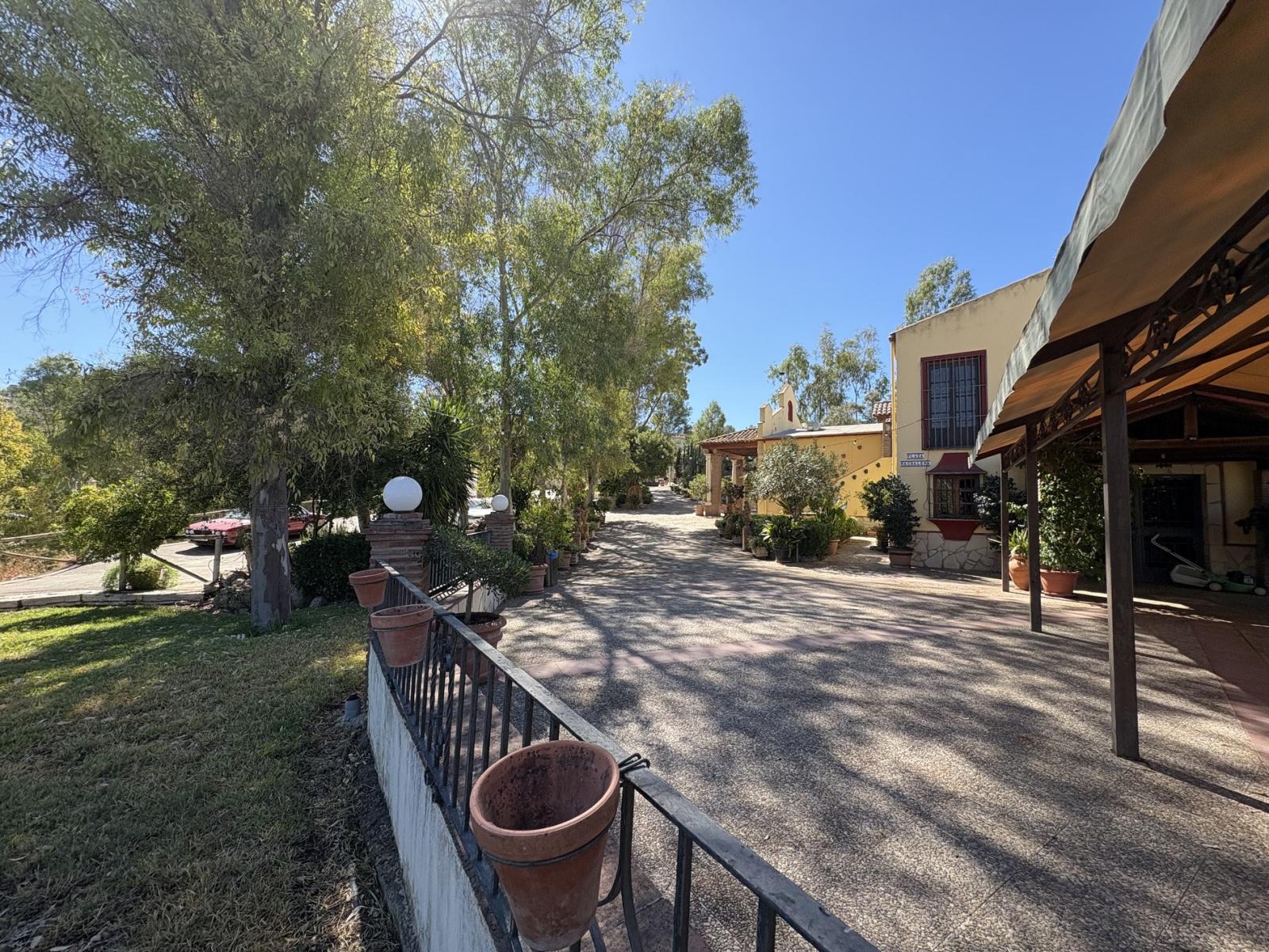 Premise for Sale in Olvera