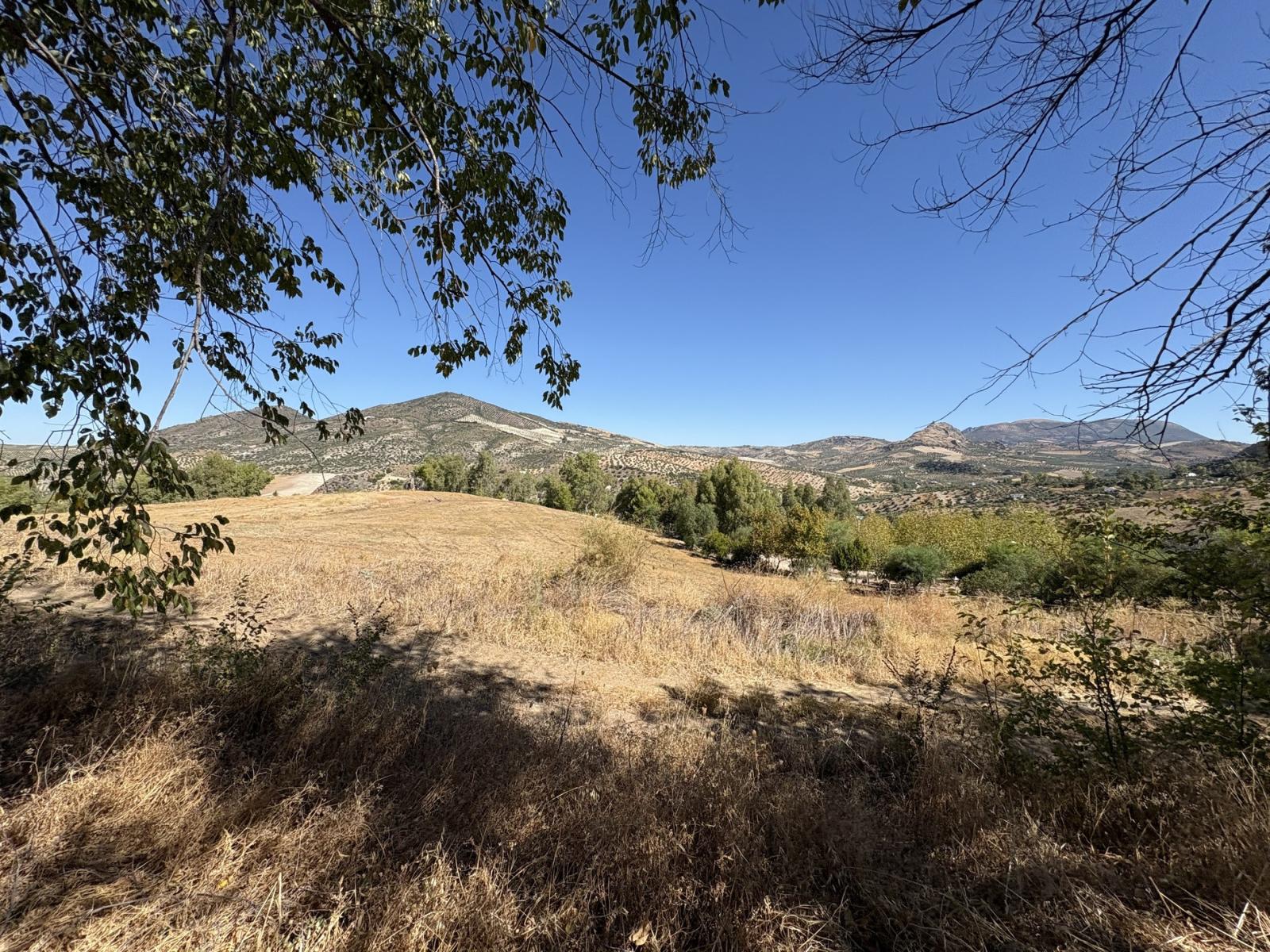 Premise for Sale in Olvera
