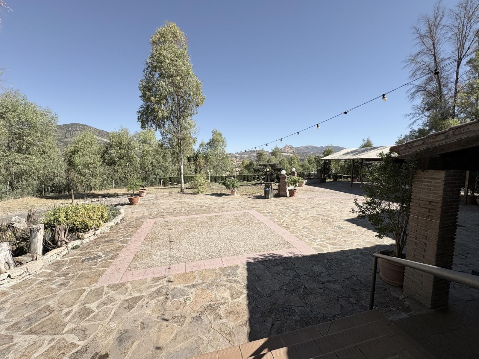 Premise for Sale in Olvera