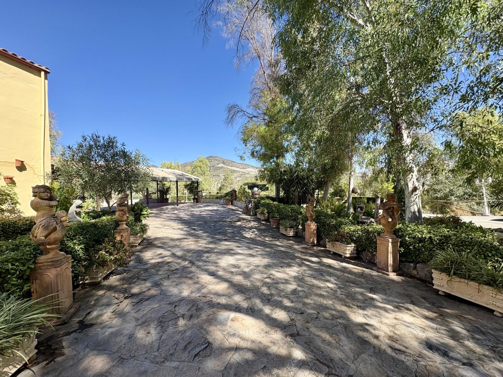 Premise for Sale in Olvera