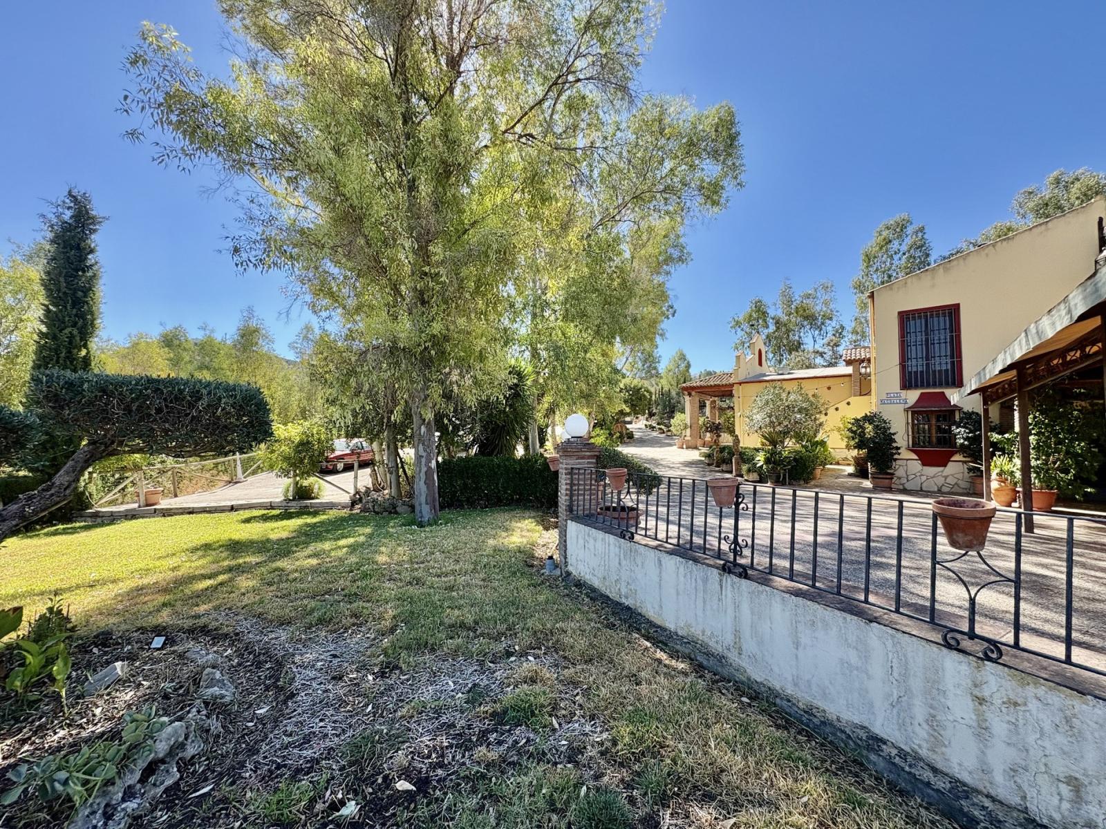 Premise for Sale in Olvera