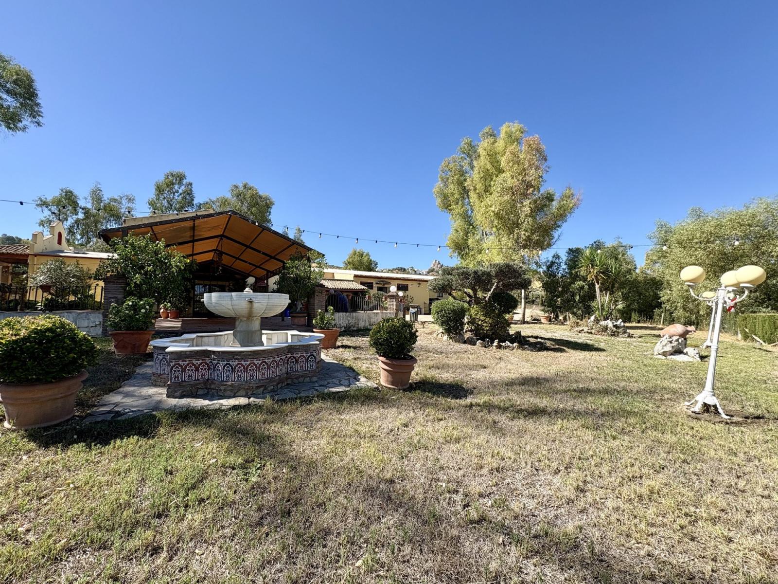Premise for Sale in Olvera