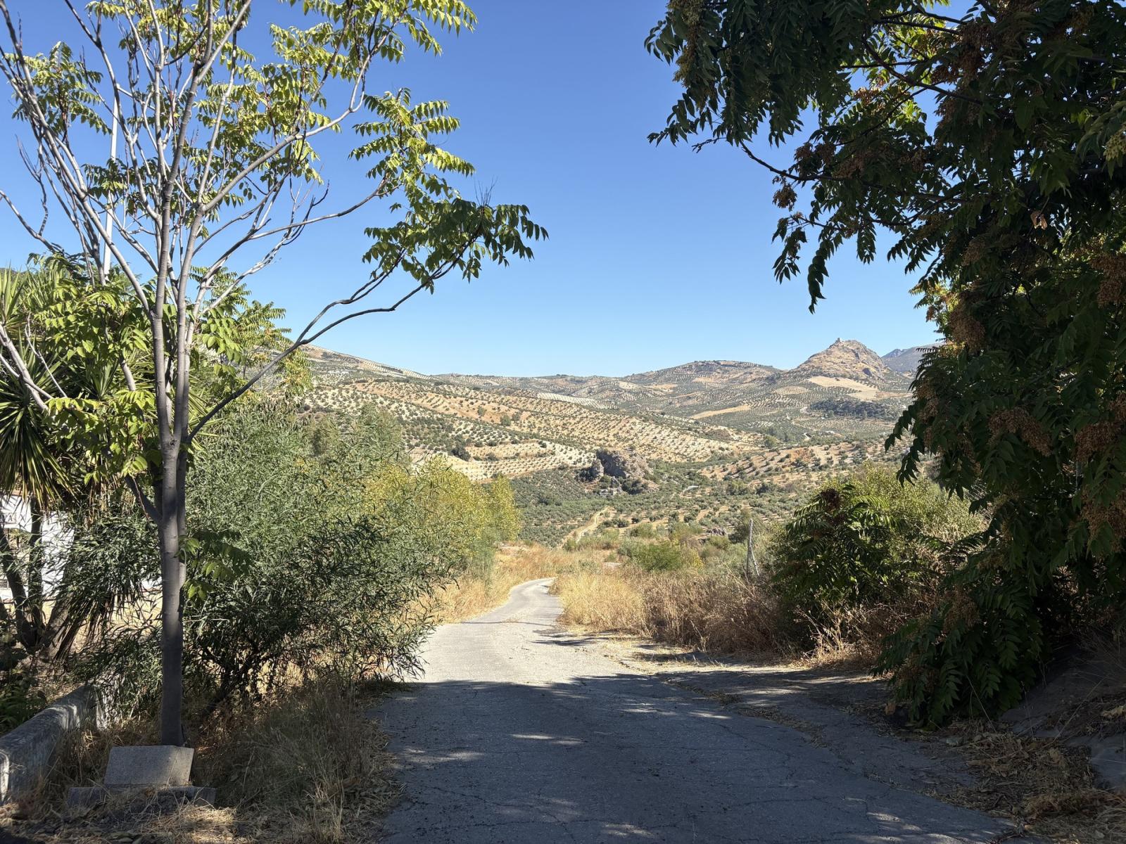 Premise for Sale in Olvera