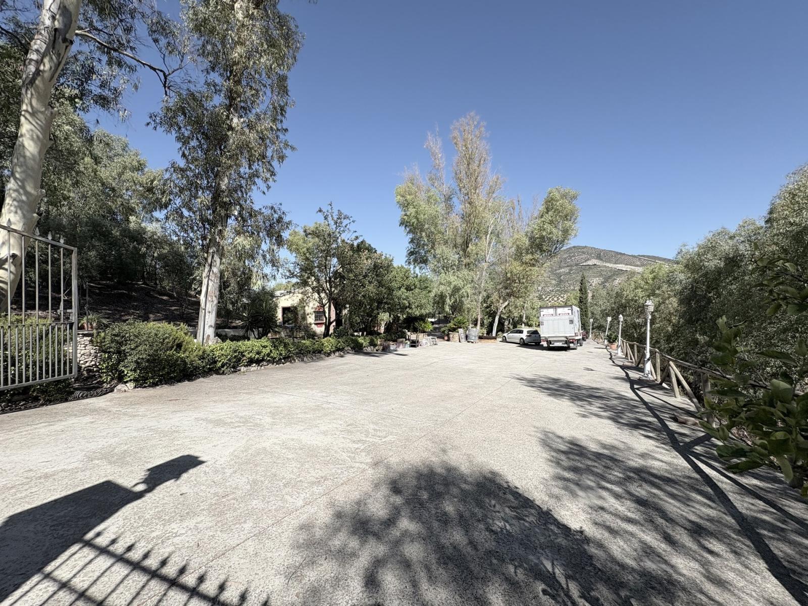 Premise for Sale in Olvera