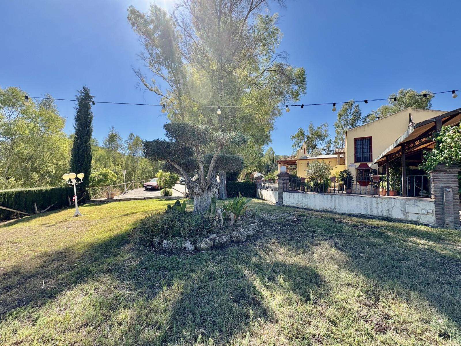 Premise for Sale in Olvera