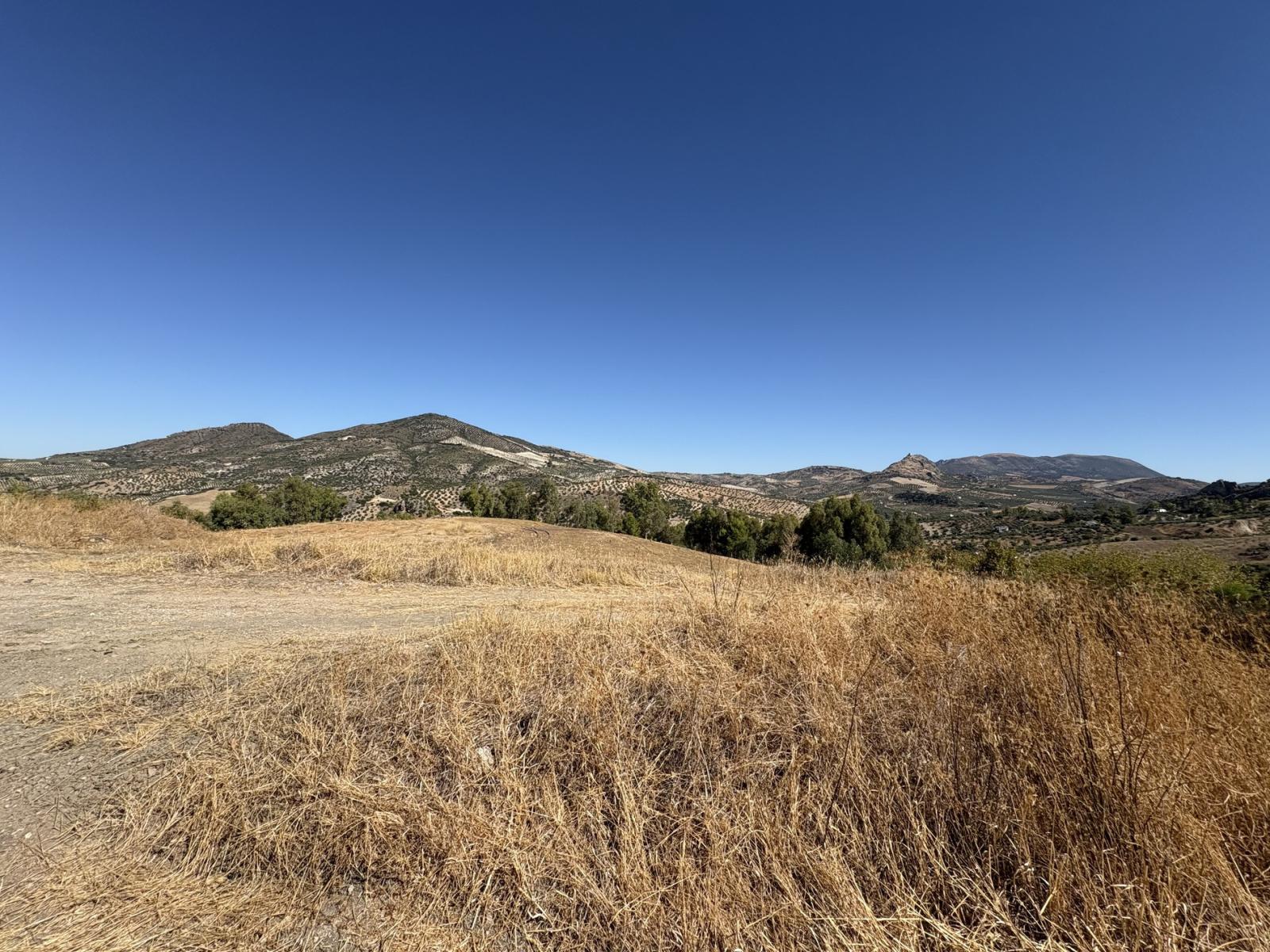Premise for Sale in Olvera