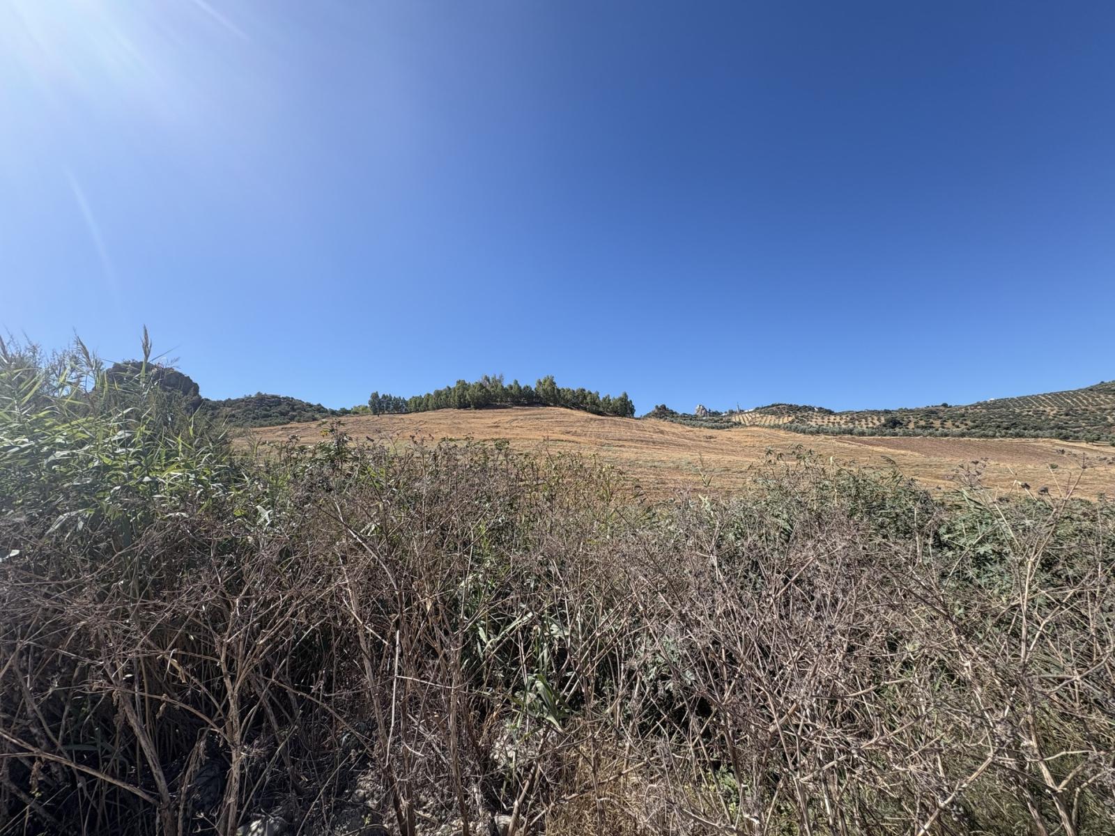 Premise for Sale in Olvera