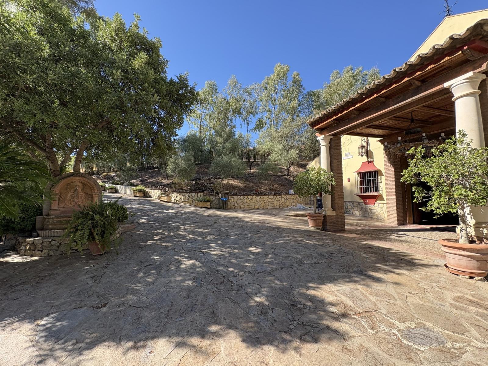 Premise for Sale in Olvera