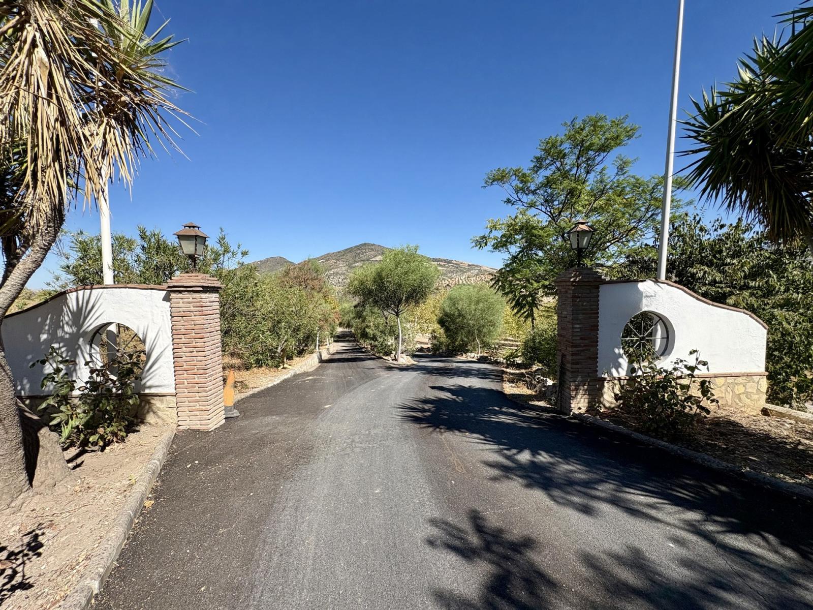 Premise for Sale in Olvera