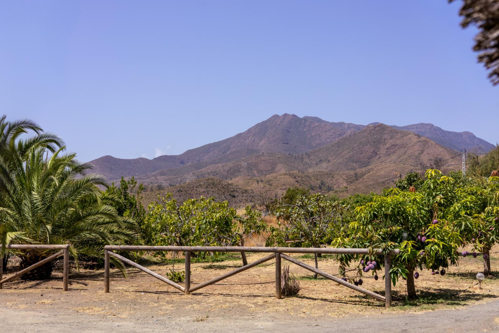 Villa for Sale in Mijas