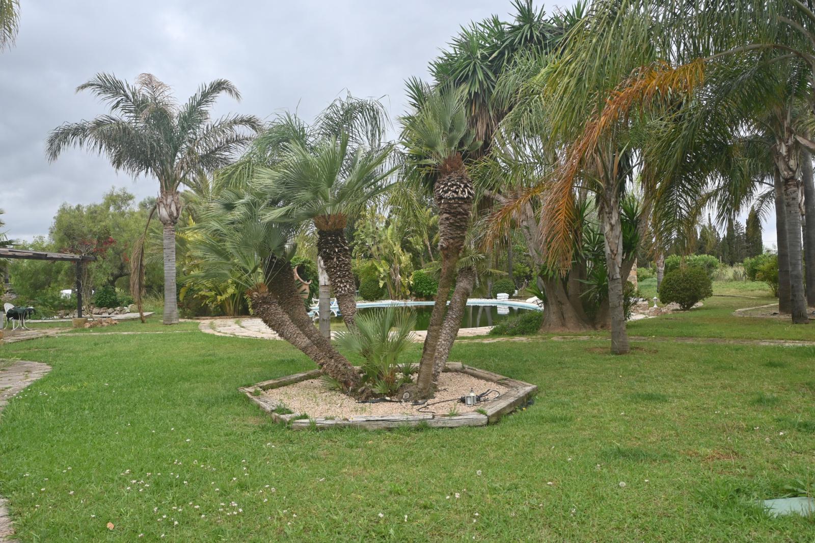 Finca en Venta en Inca
