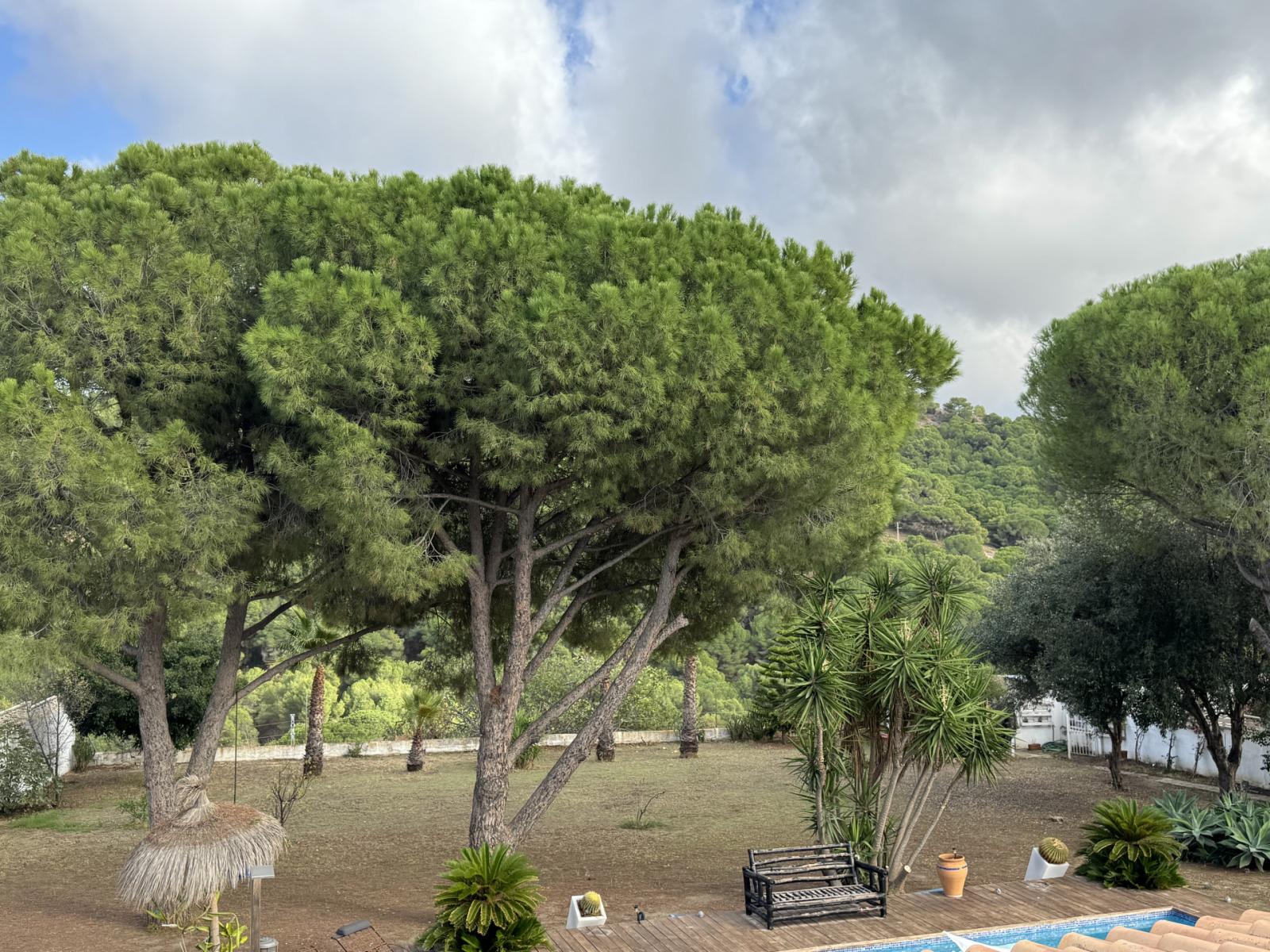 Villa for Sale in Alhaurín de la Torre
