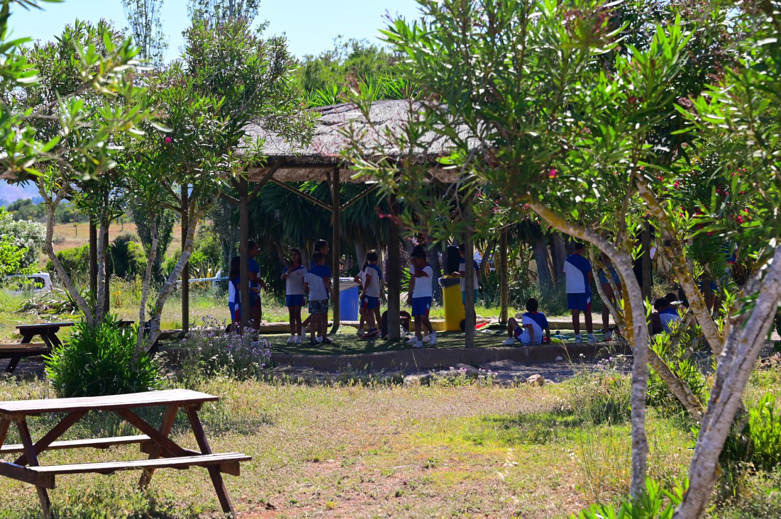 Finca en Venta en Manacor