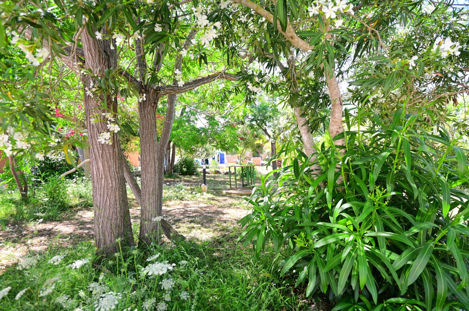 Finca en Venta en Manacor