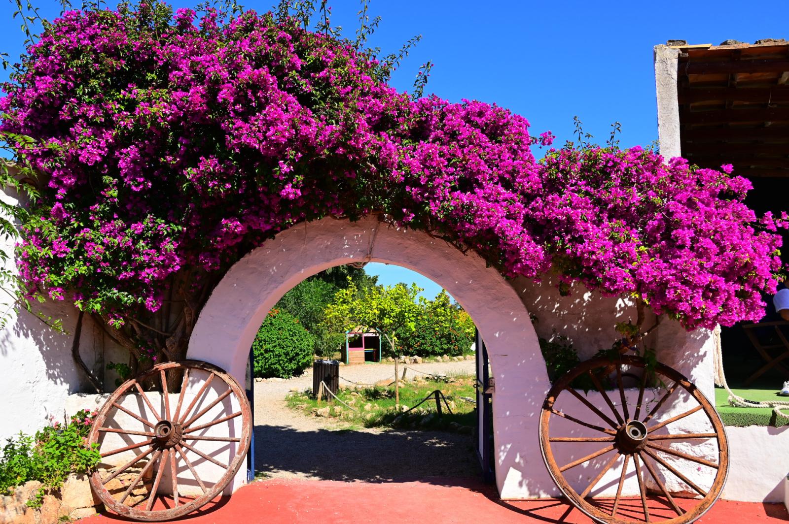Finca en Venta en Manacor