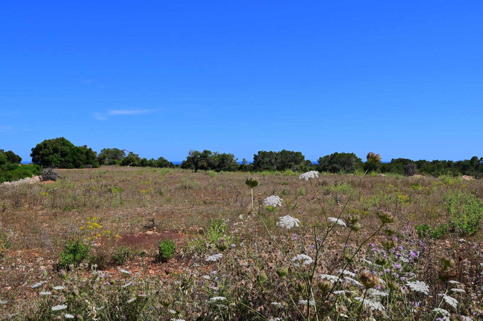 Finca en Venta en Manacor
