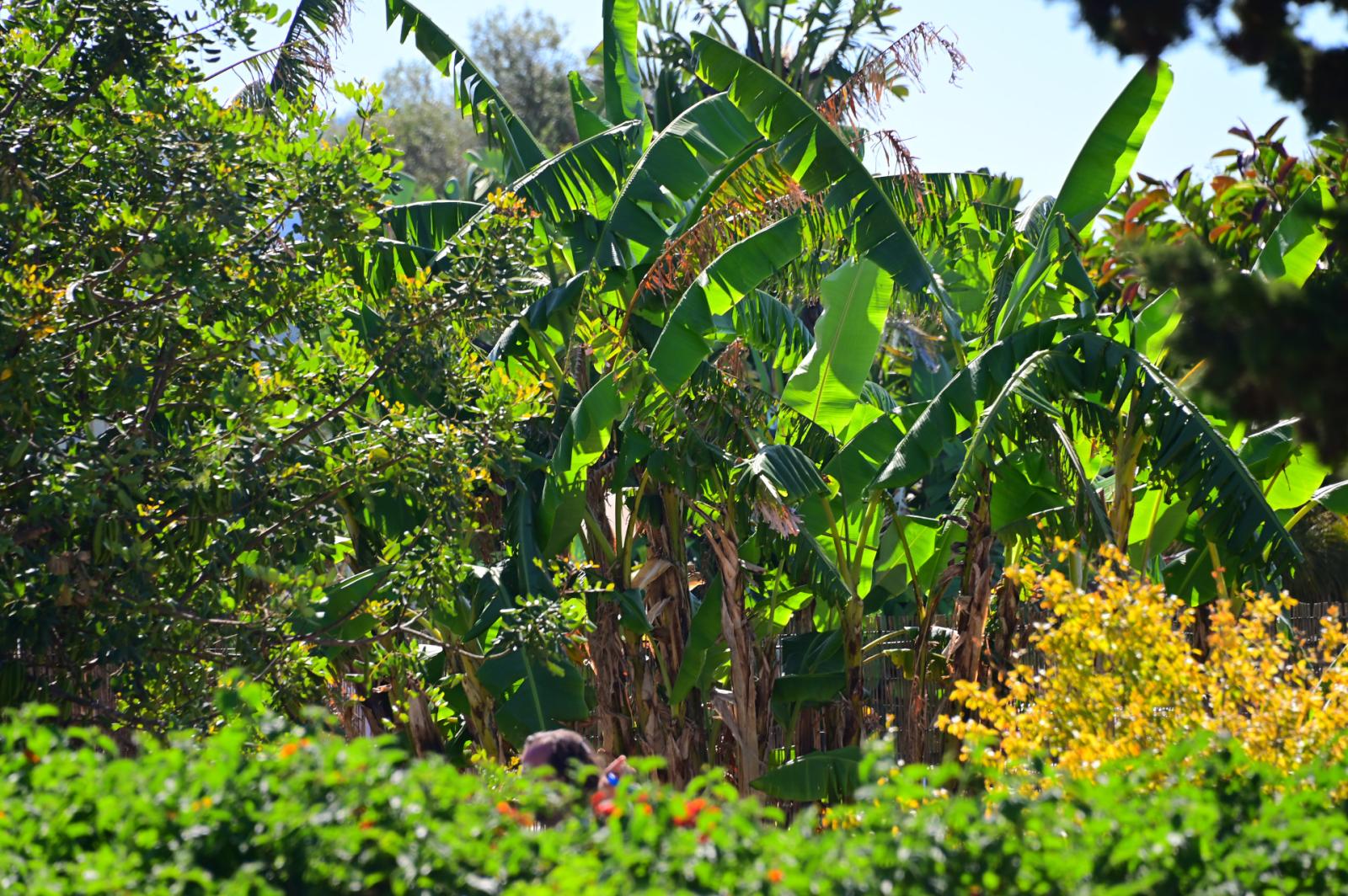 Finca en Venta en Manacor
