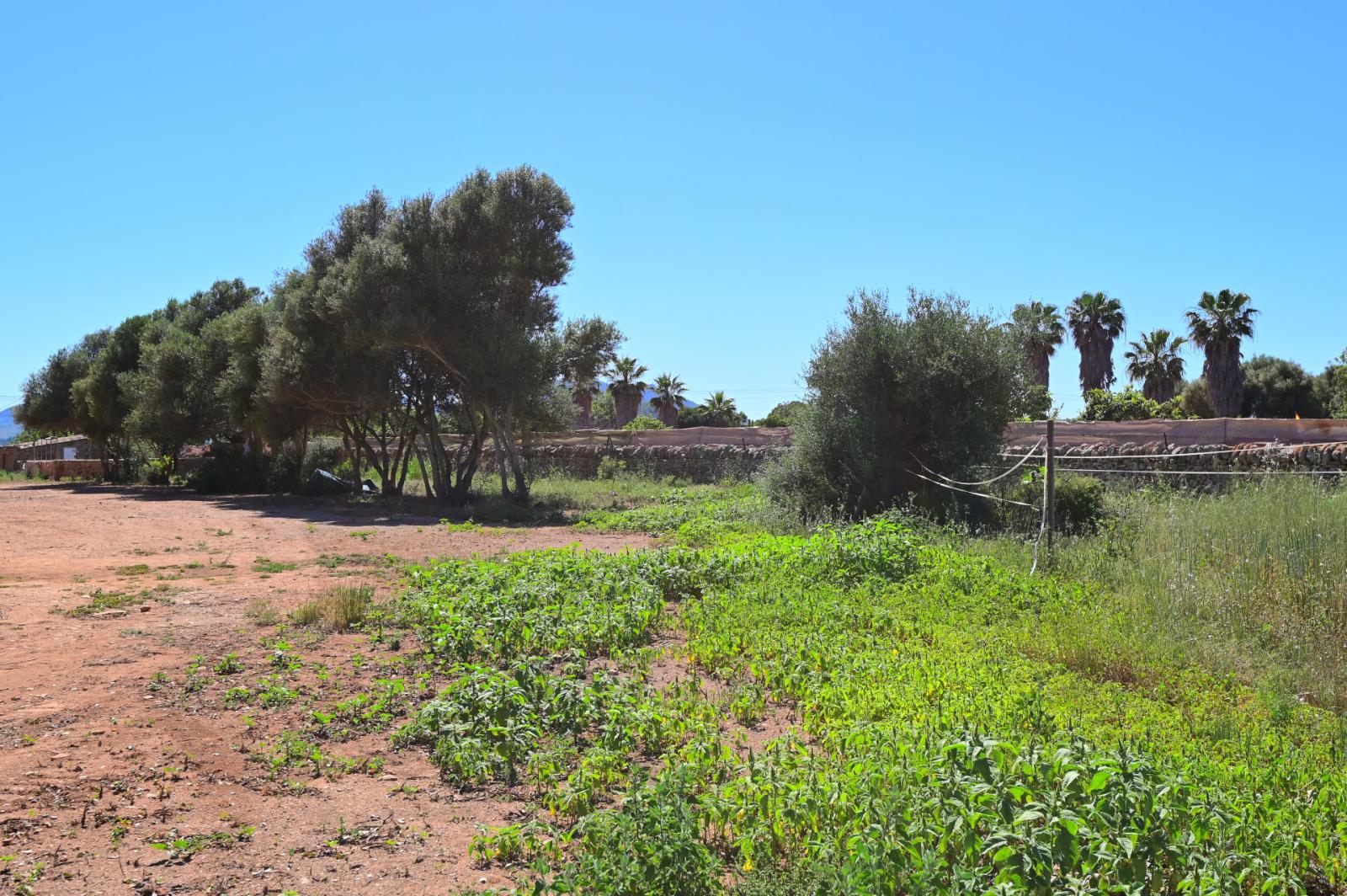 Finca en Venta en Manacor