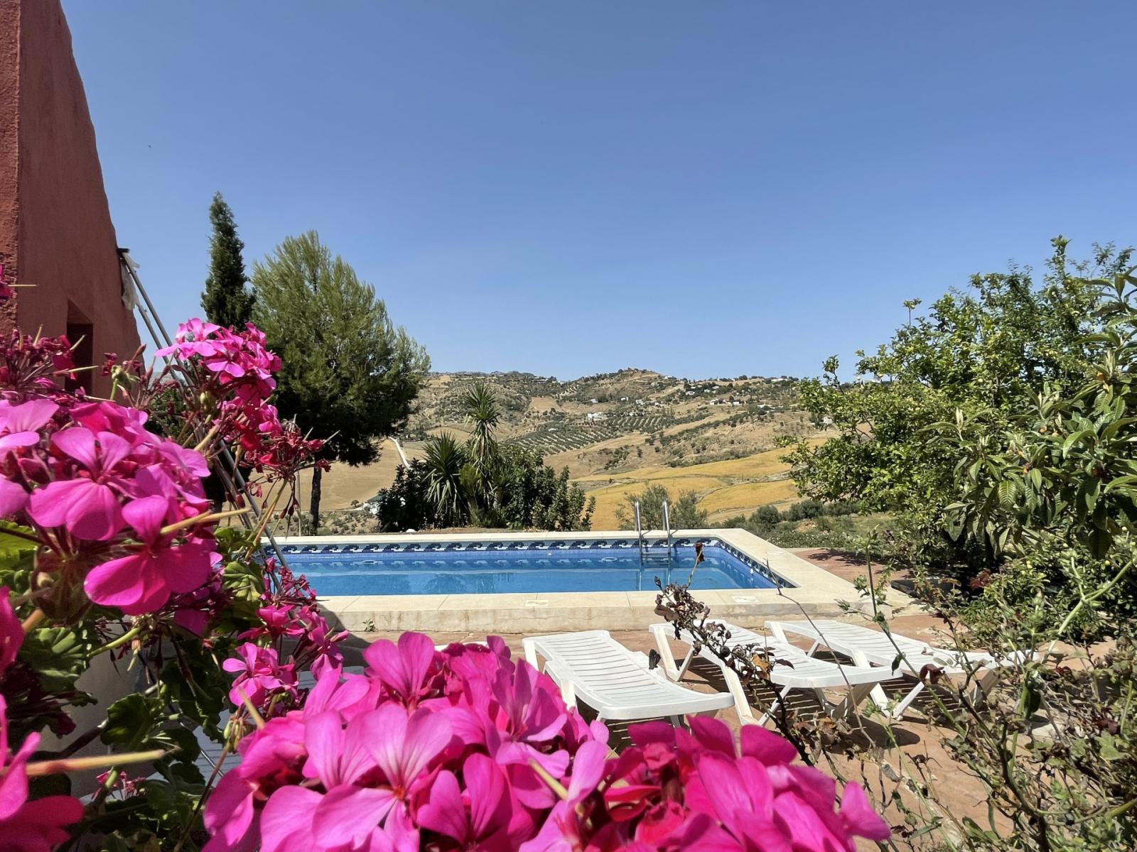 House for Sale in Villanueva de la Concepcion