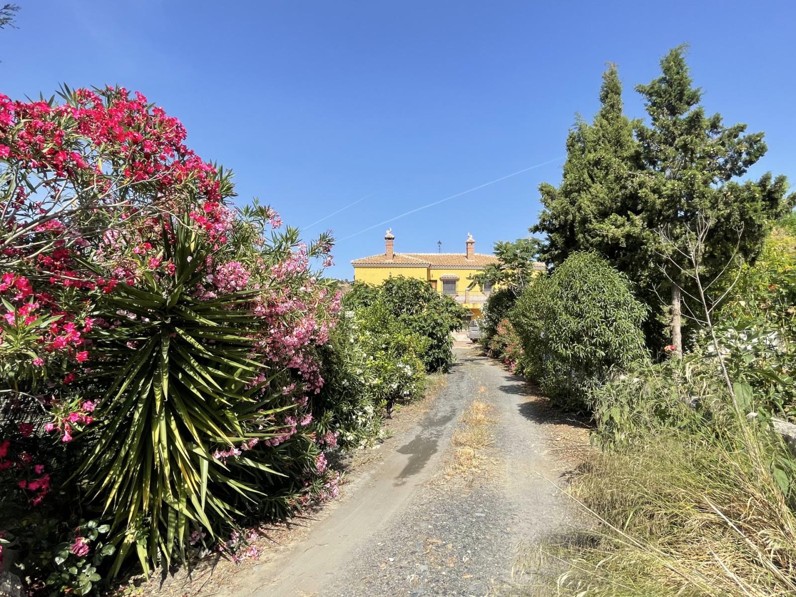 House for Sale in Villanueva de la Concepcion