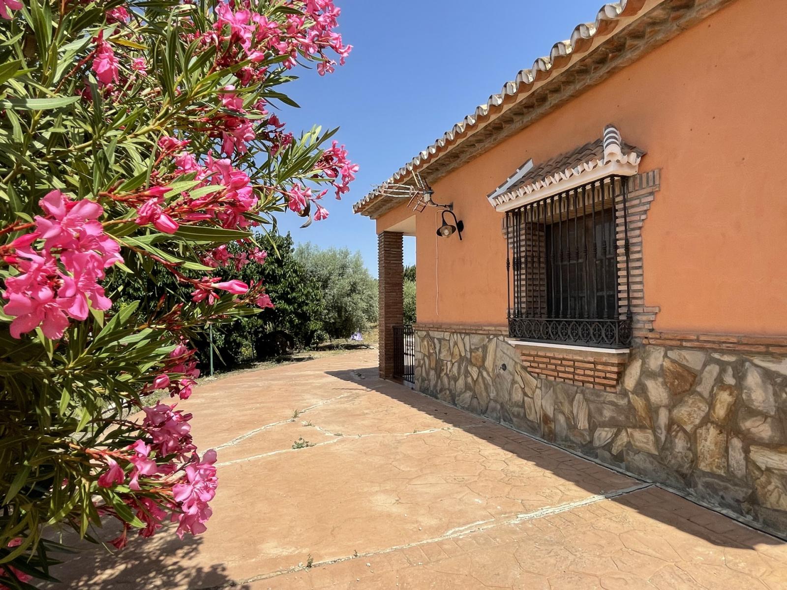 House for Sale in Villanueva de la Concepcion