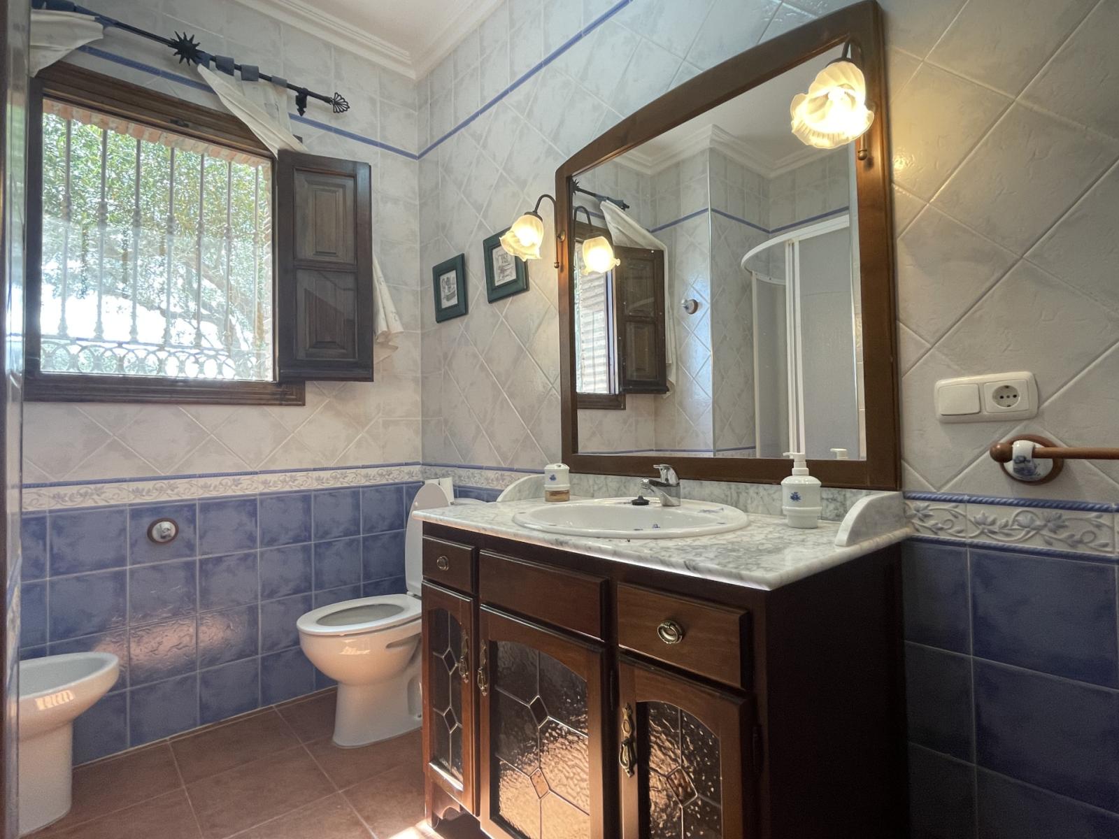 House for Sale in Villanueva de la Concepcion